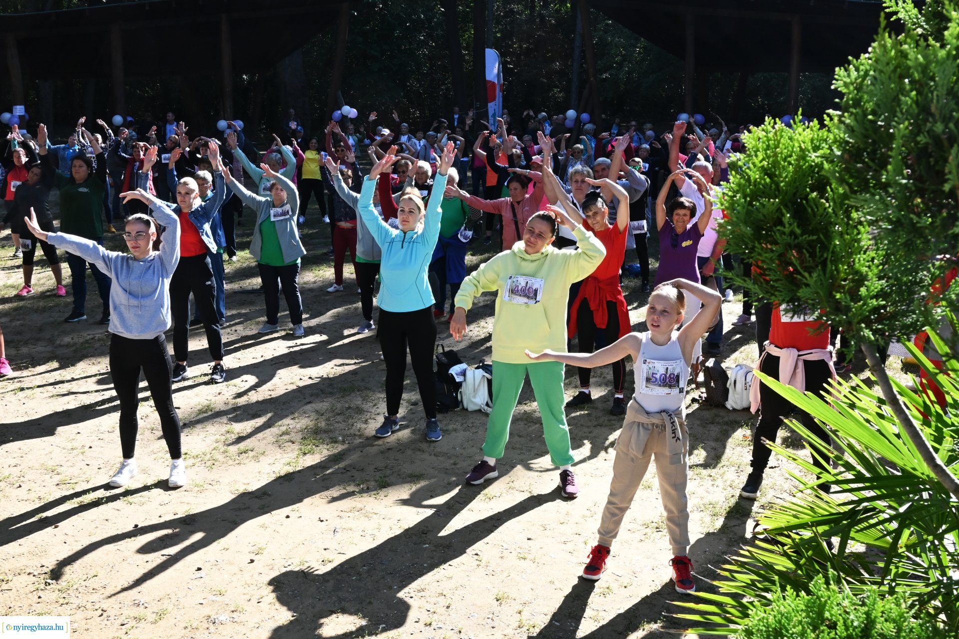 Fuss a demencia ellen!