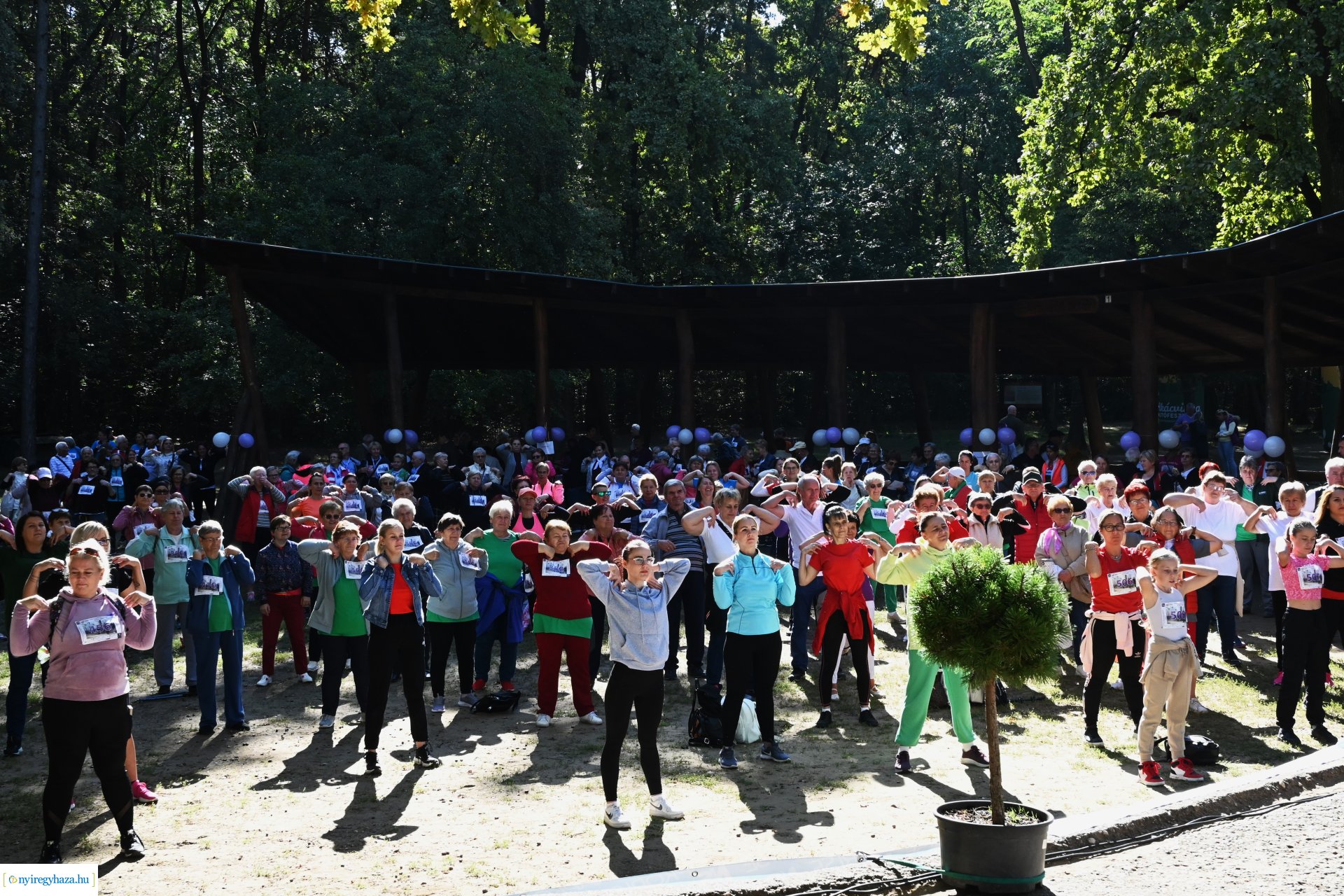 Fuss a demencia ellen!