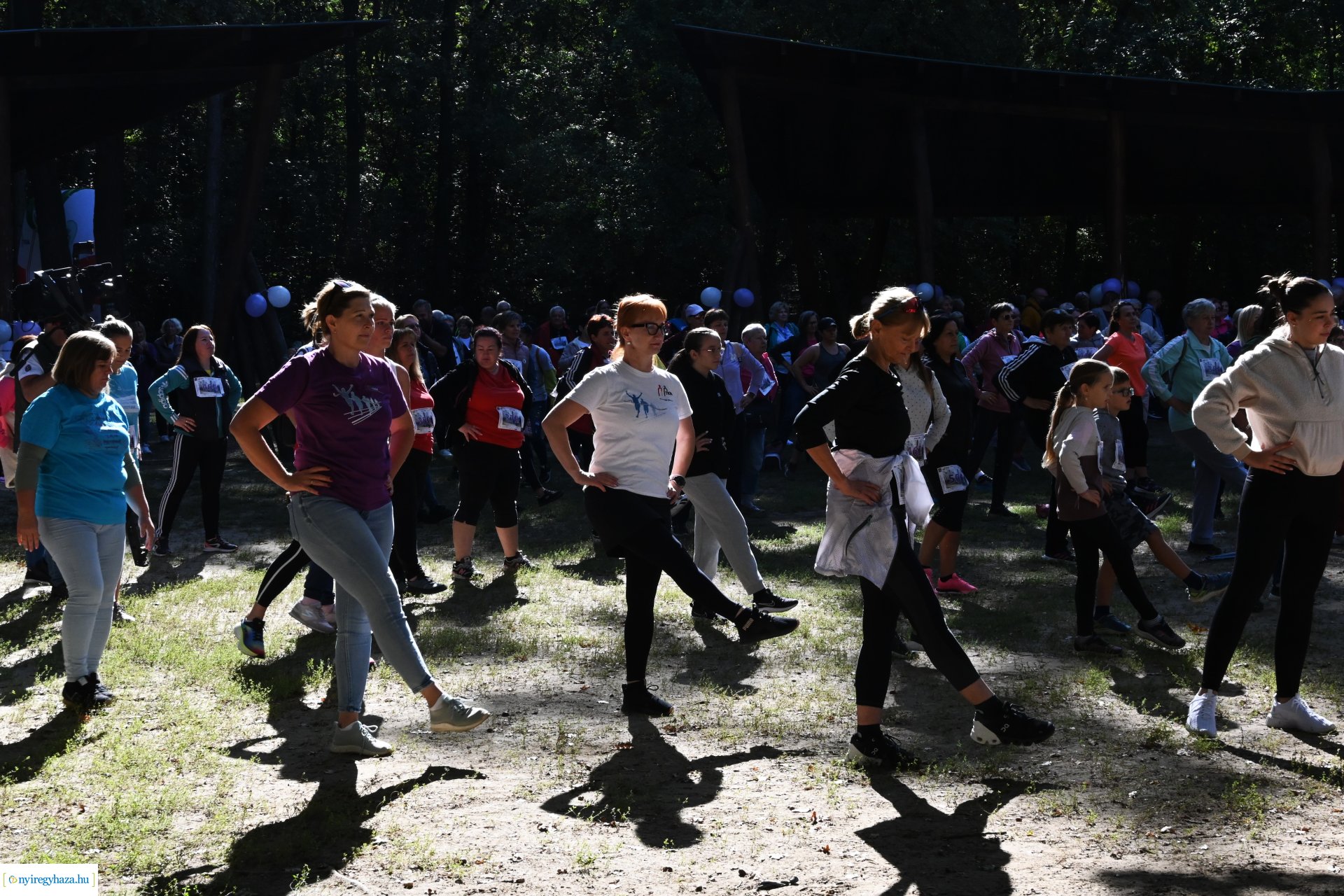 Fuss a demencia ellen!