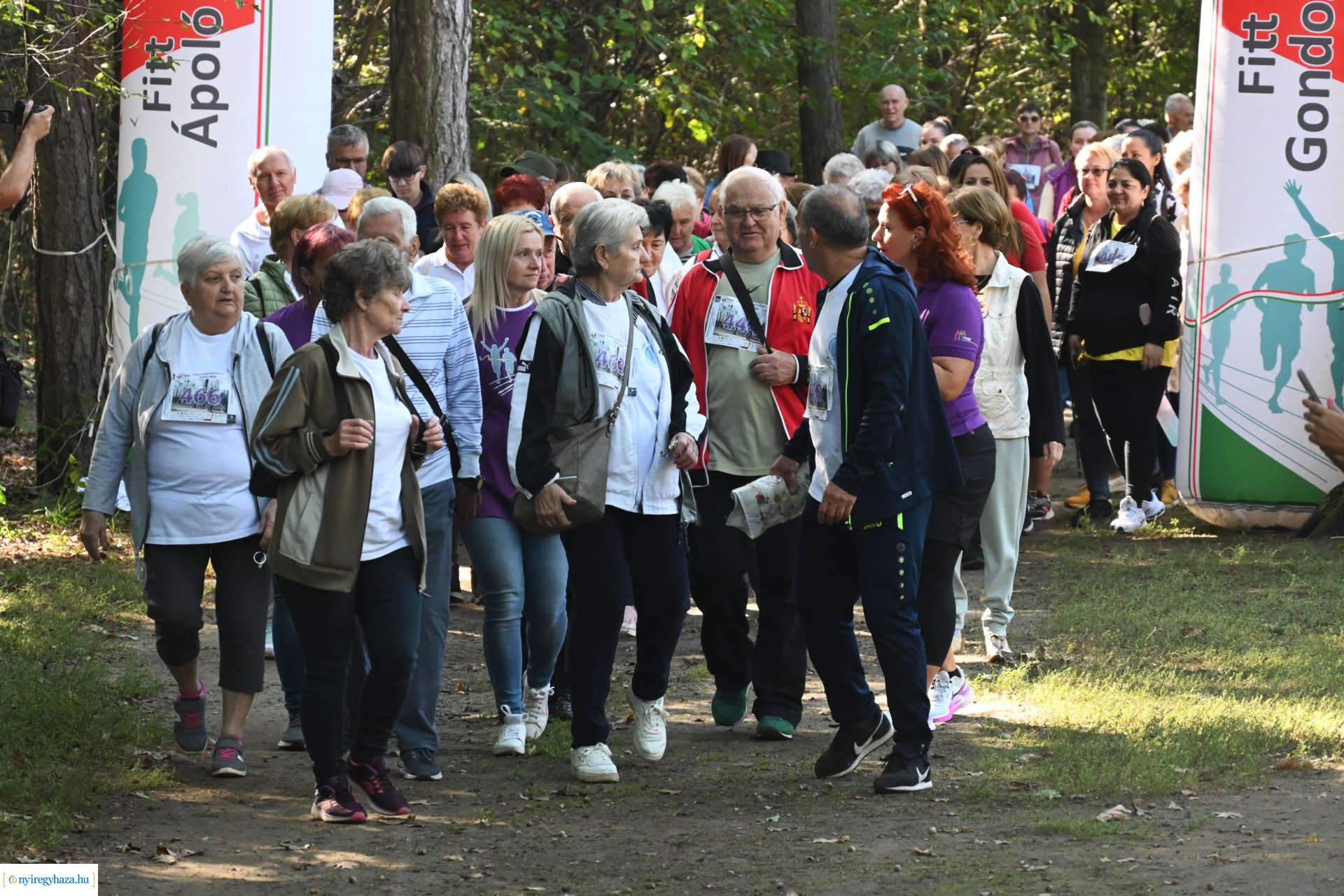 Fuss a demencia ellen!