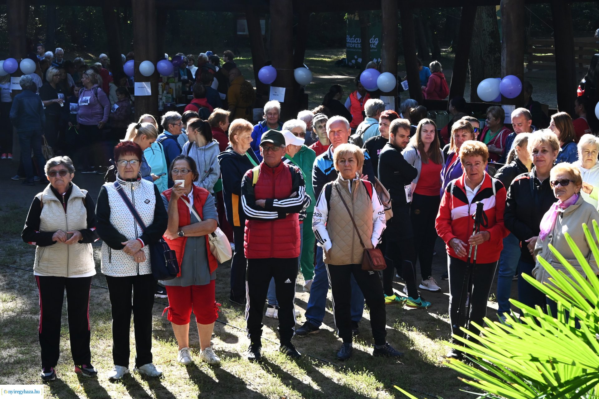 Fuss a demencia ellen!