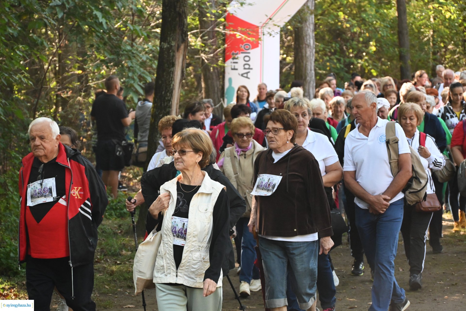 Fuss a demencia ellen!