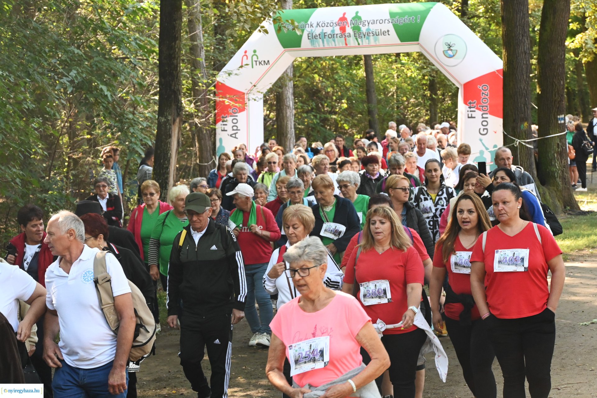 Fuss a demencia ellen!