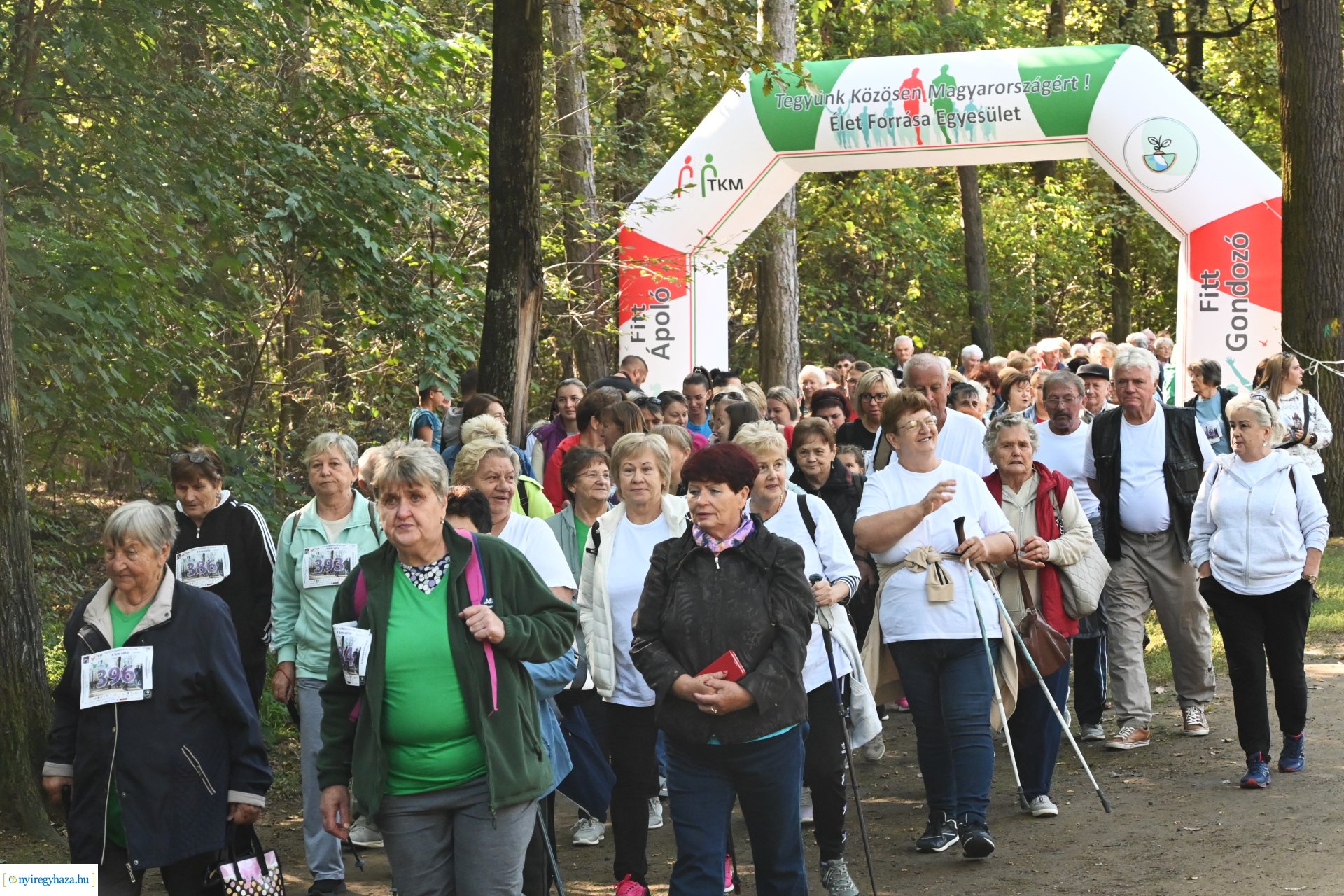 Fuss a demencia ellen!