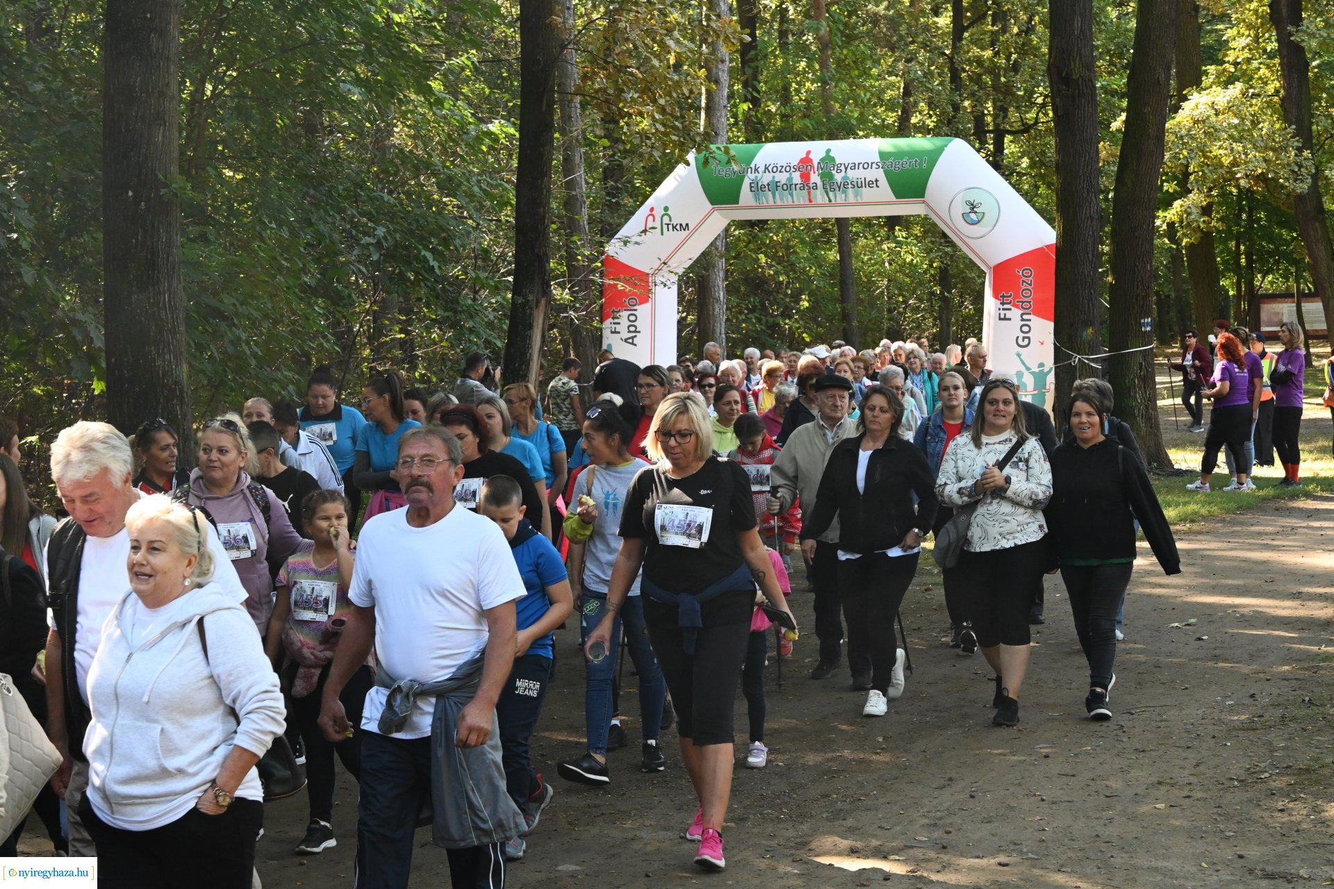 Fuss a demencia ellen!