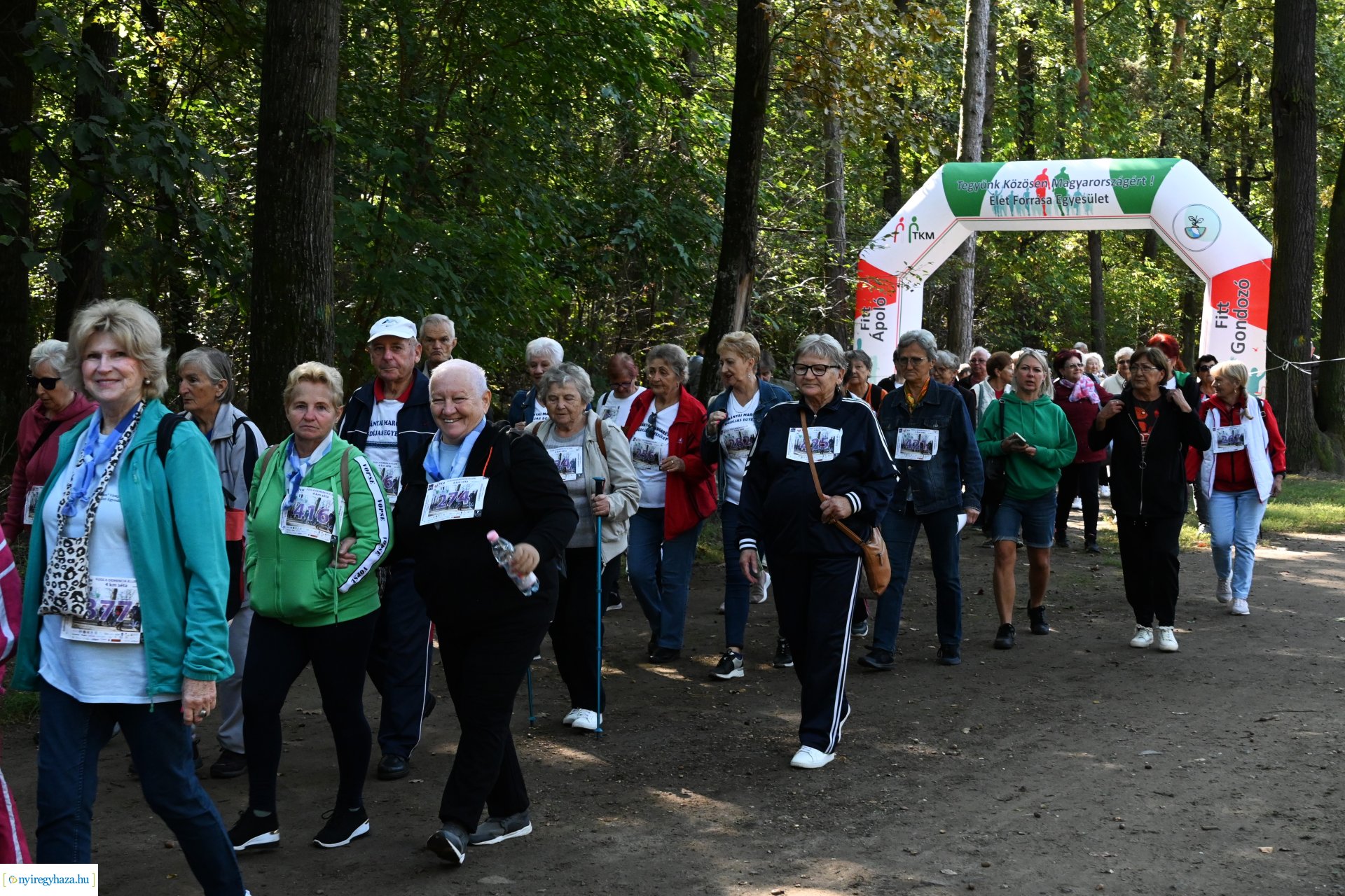 Fuss a demencia ellen!