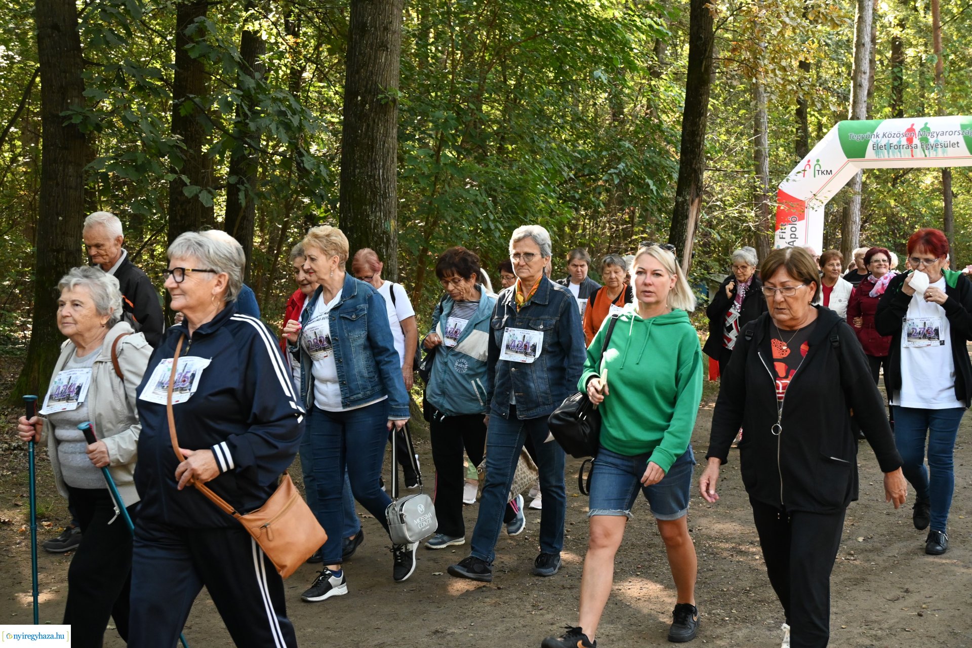 Fuss a demencia ellen!