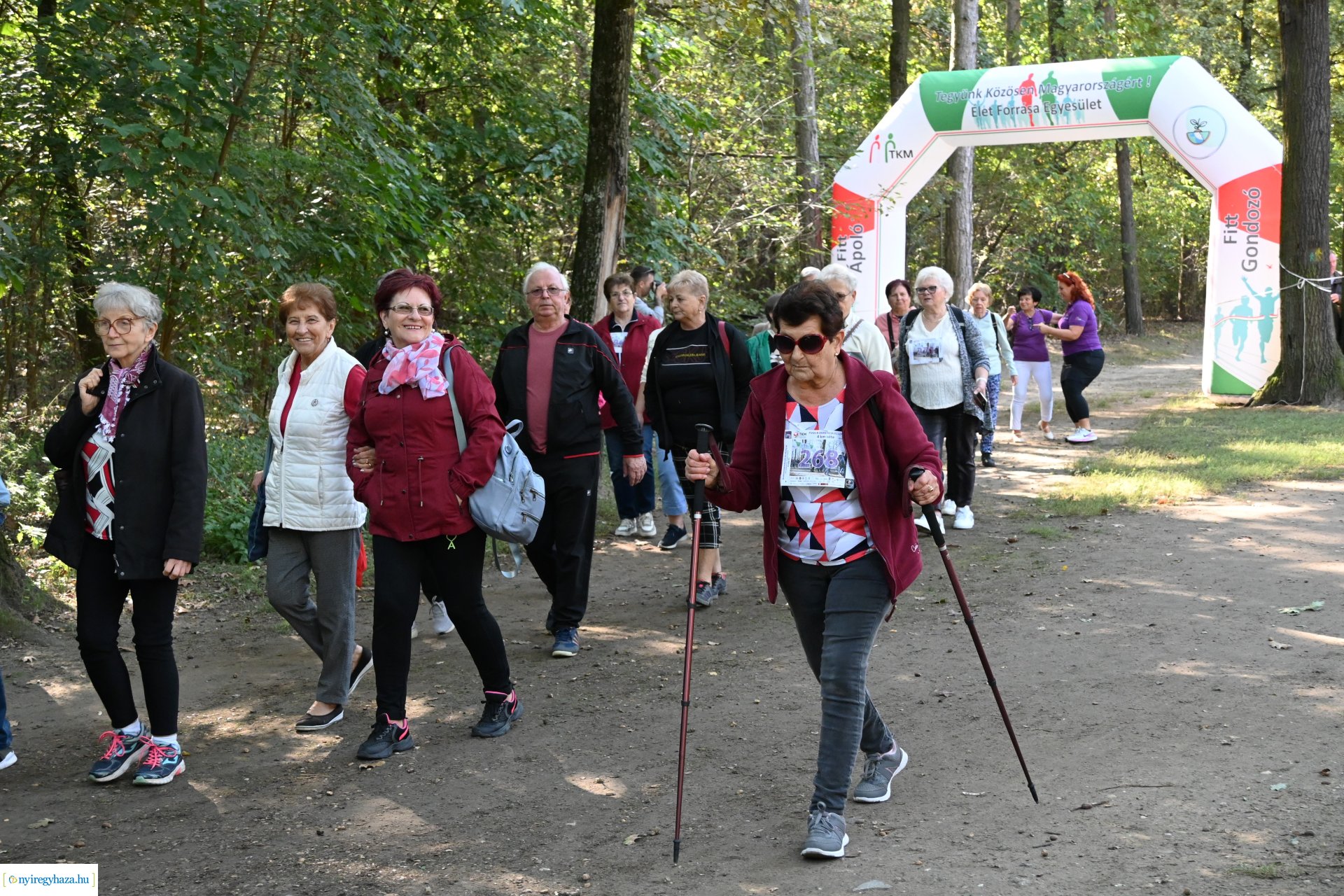 Fuss a demencia ellen!