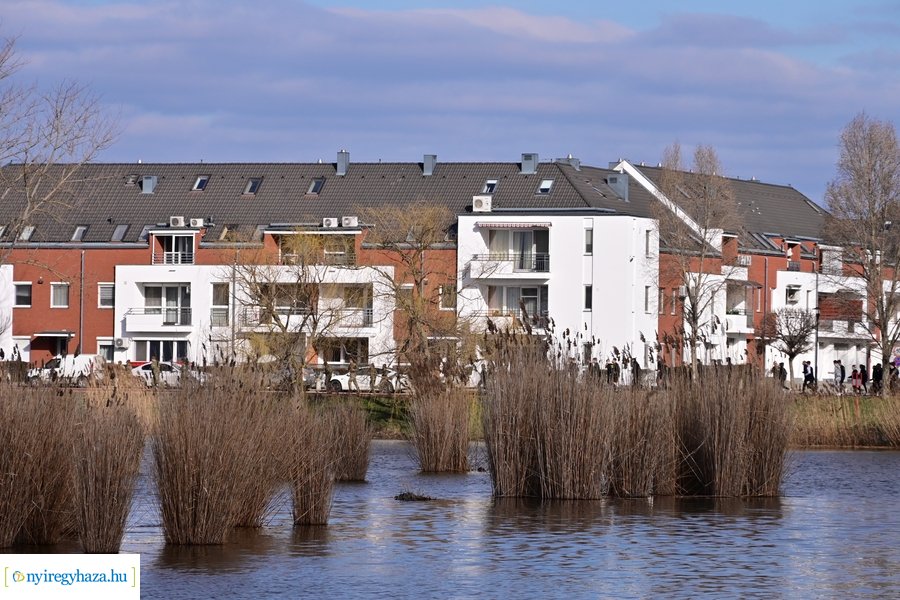 Futás a békéért 2024