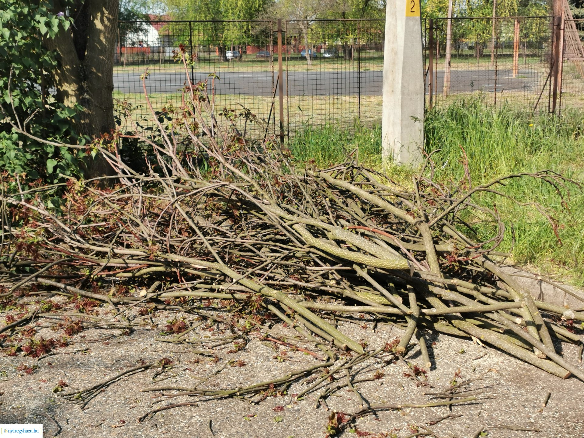 Gallyazás több helyen 0429