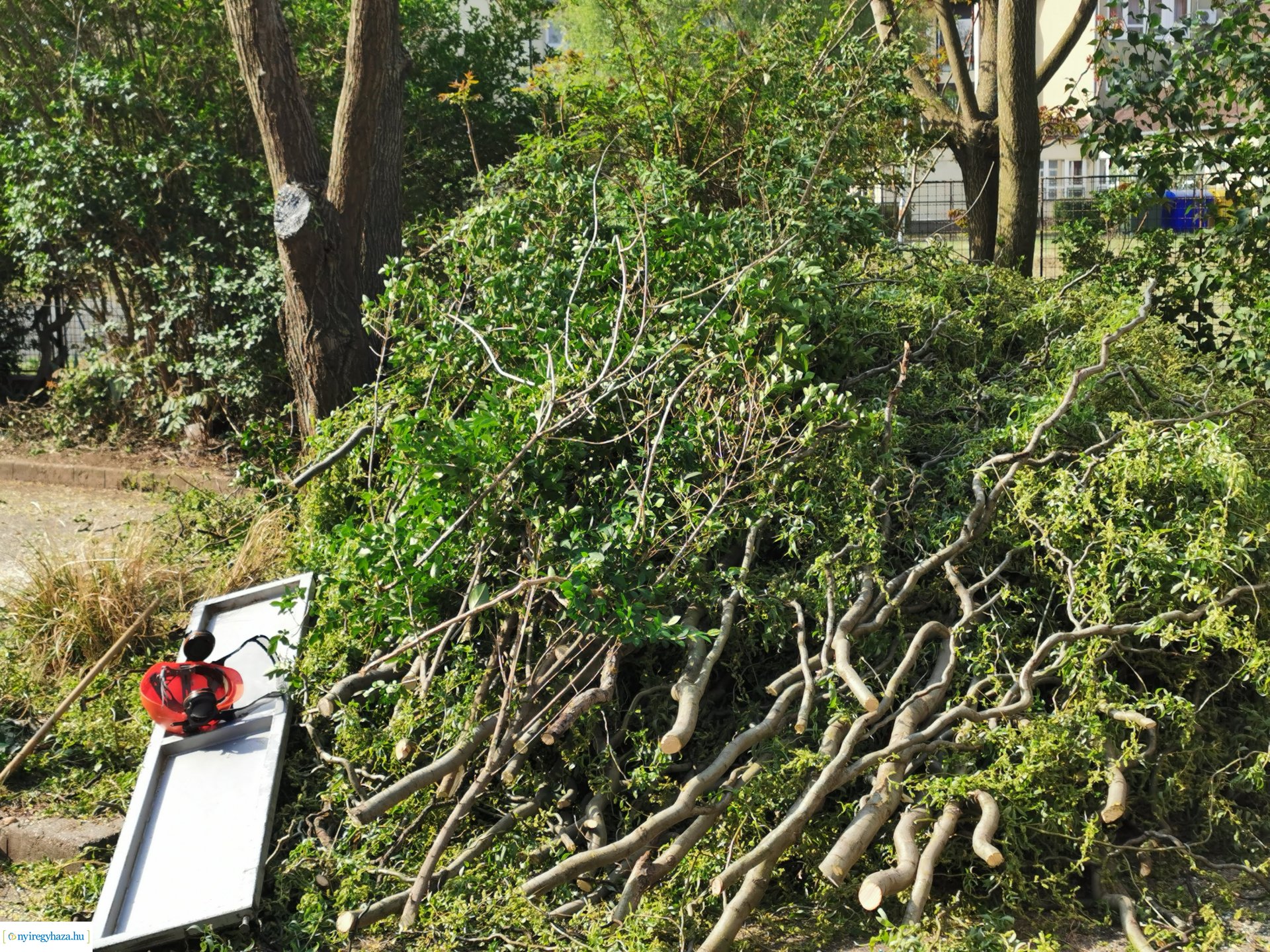 Gallyazás több helyen 0429