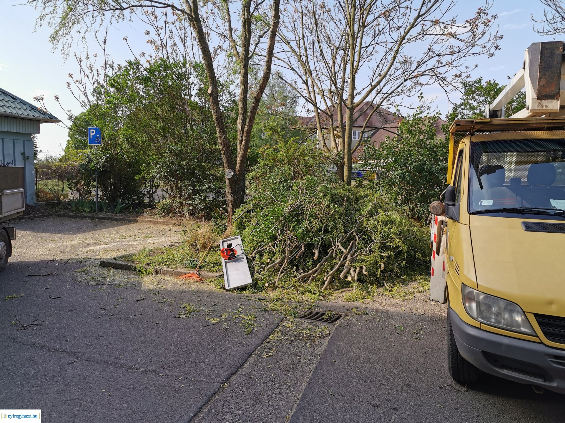 Gallyazás több helyen 0429