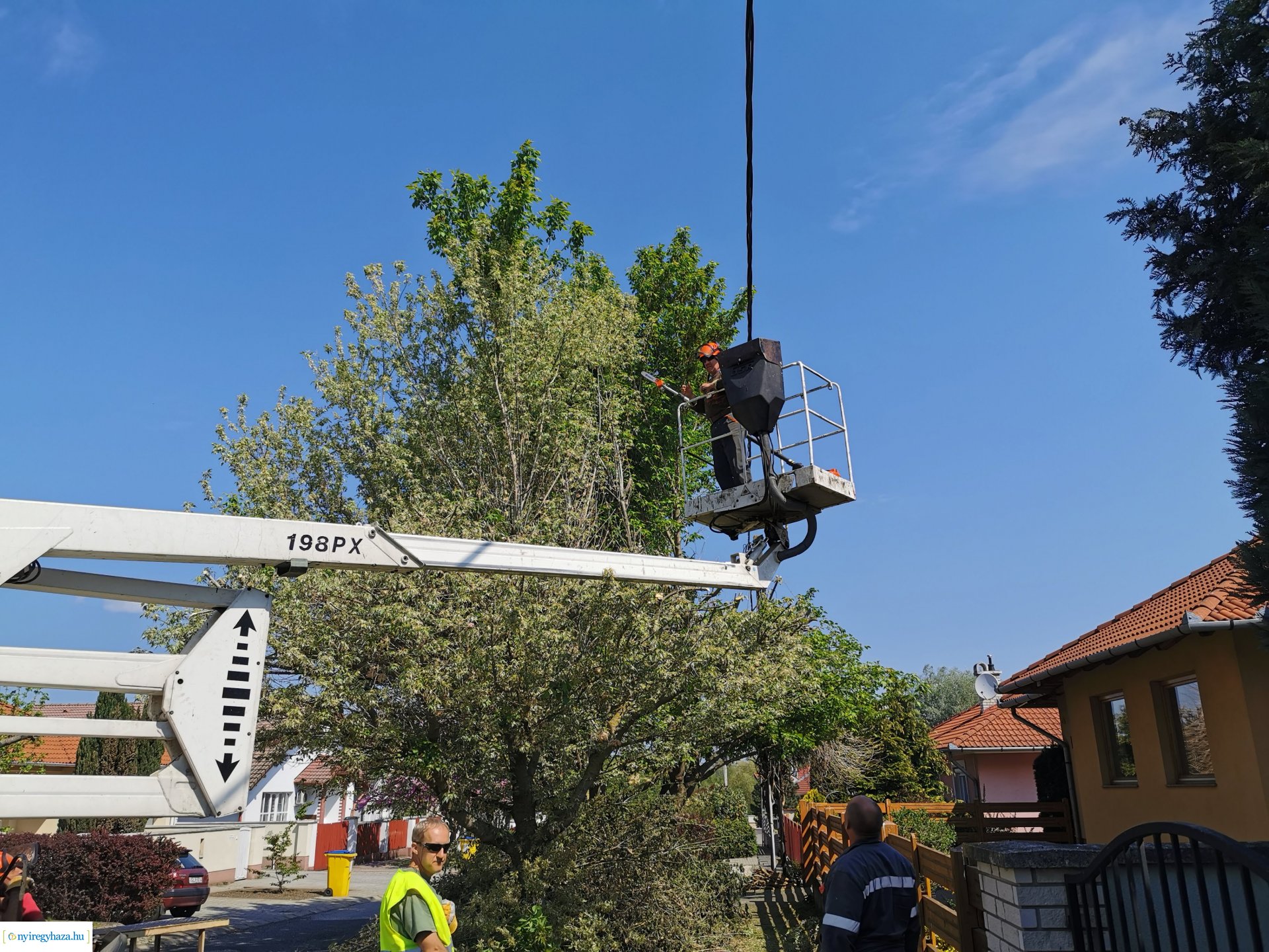 Gallyazás több helyen 0429