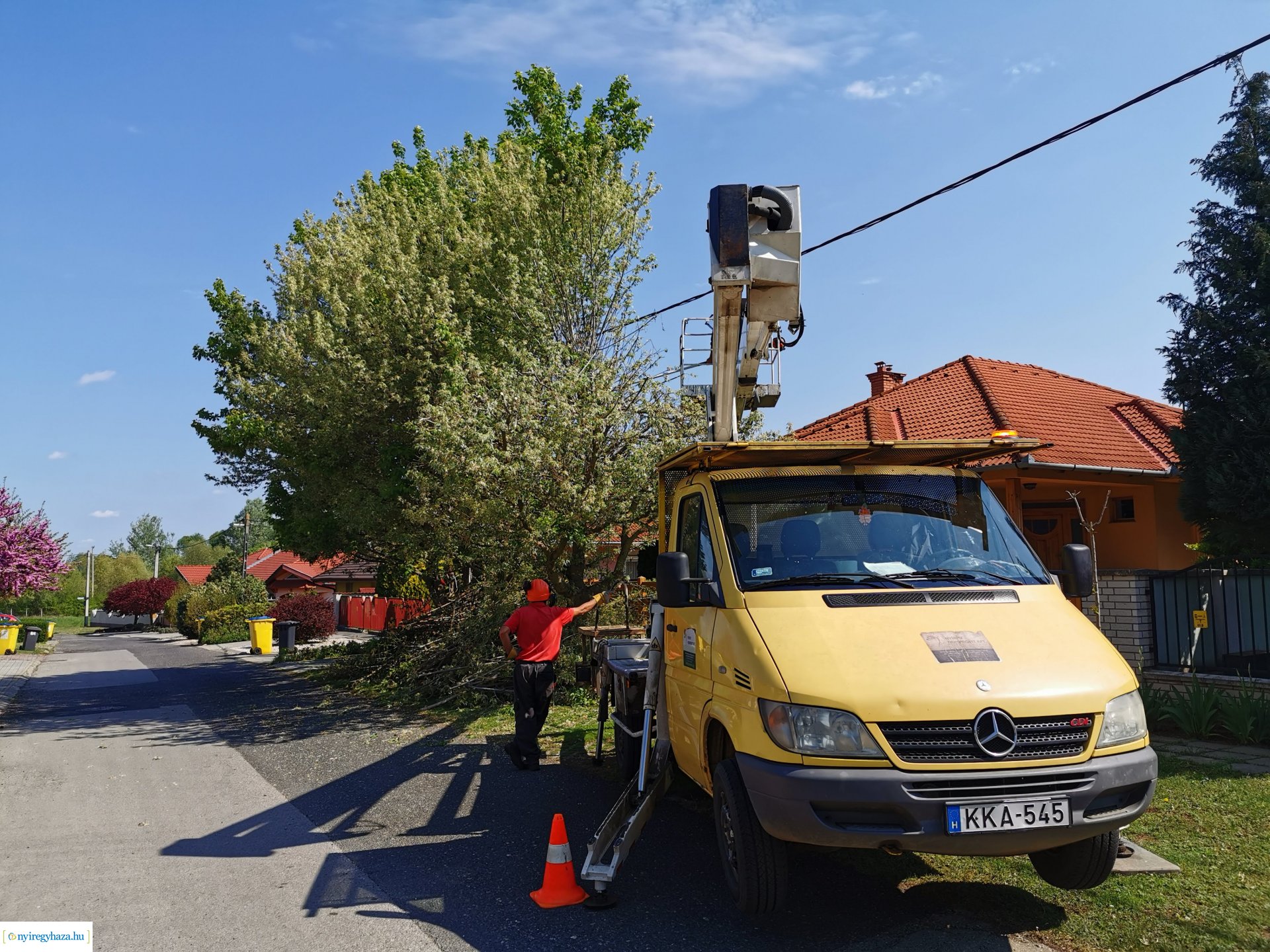 Gallyazás több helyen 0429