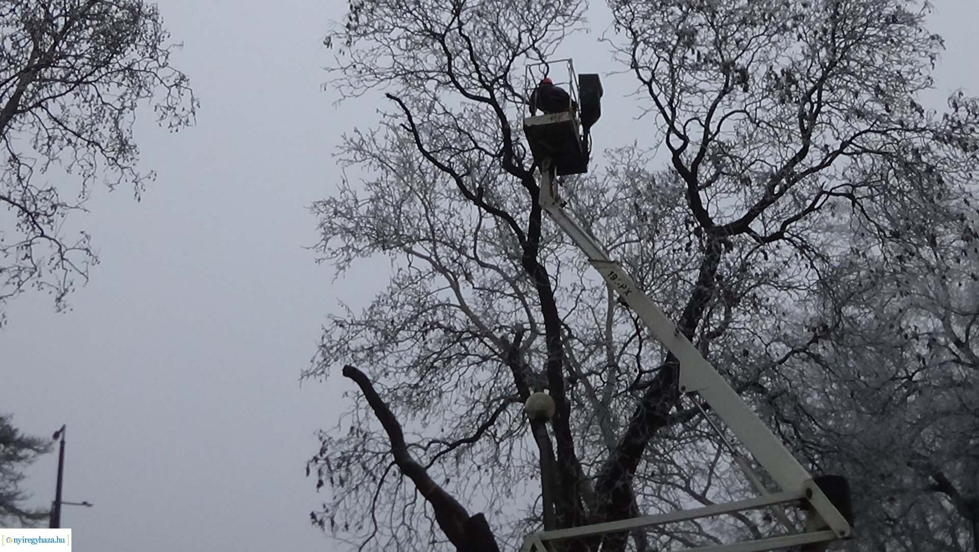 Gallyazási munkálatok a Petőfi téren
