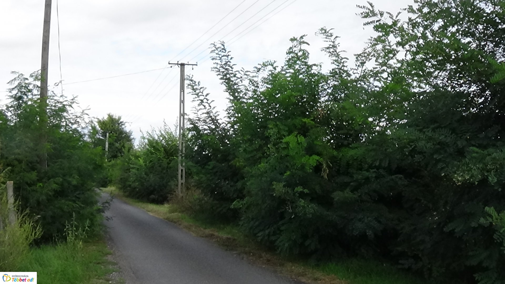 Gallyazási munkálatok a Rozmaring utcán