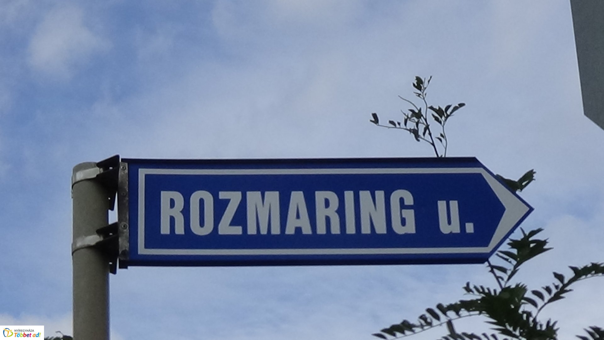 Gallyazási munkálatok a Rozmaring utcán
