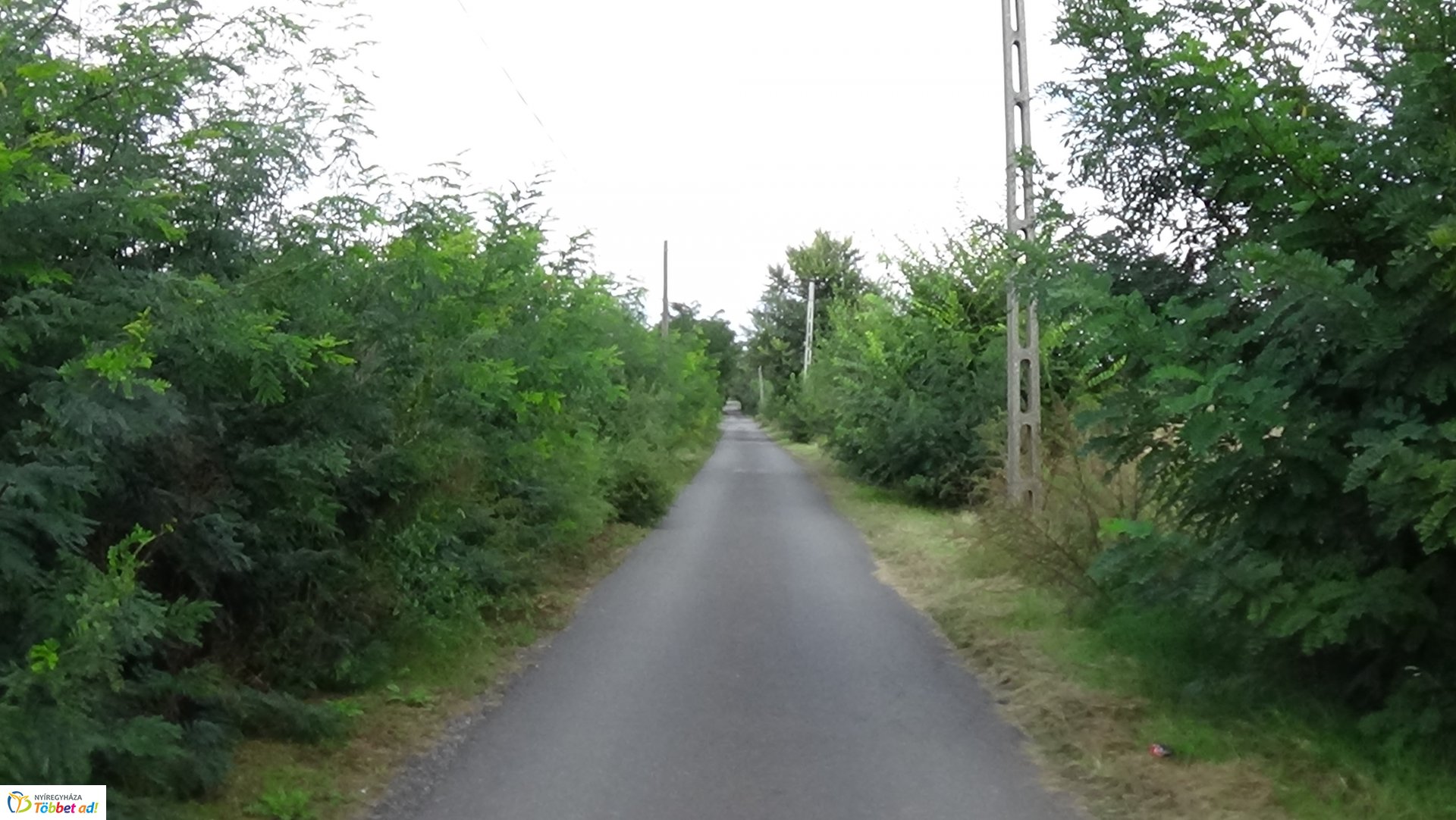 Gallyazási munkálatok a Rozmaring utcán