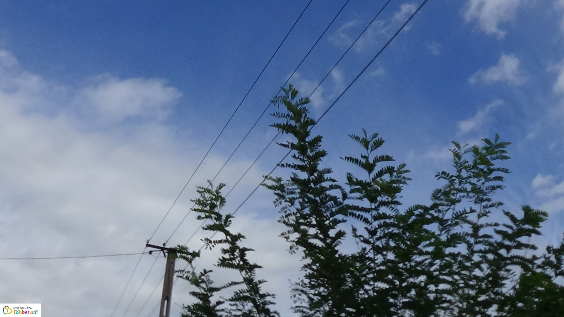 Gallyazási munkálatok a Rozmaring utcán