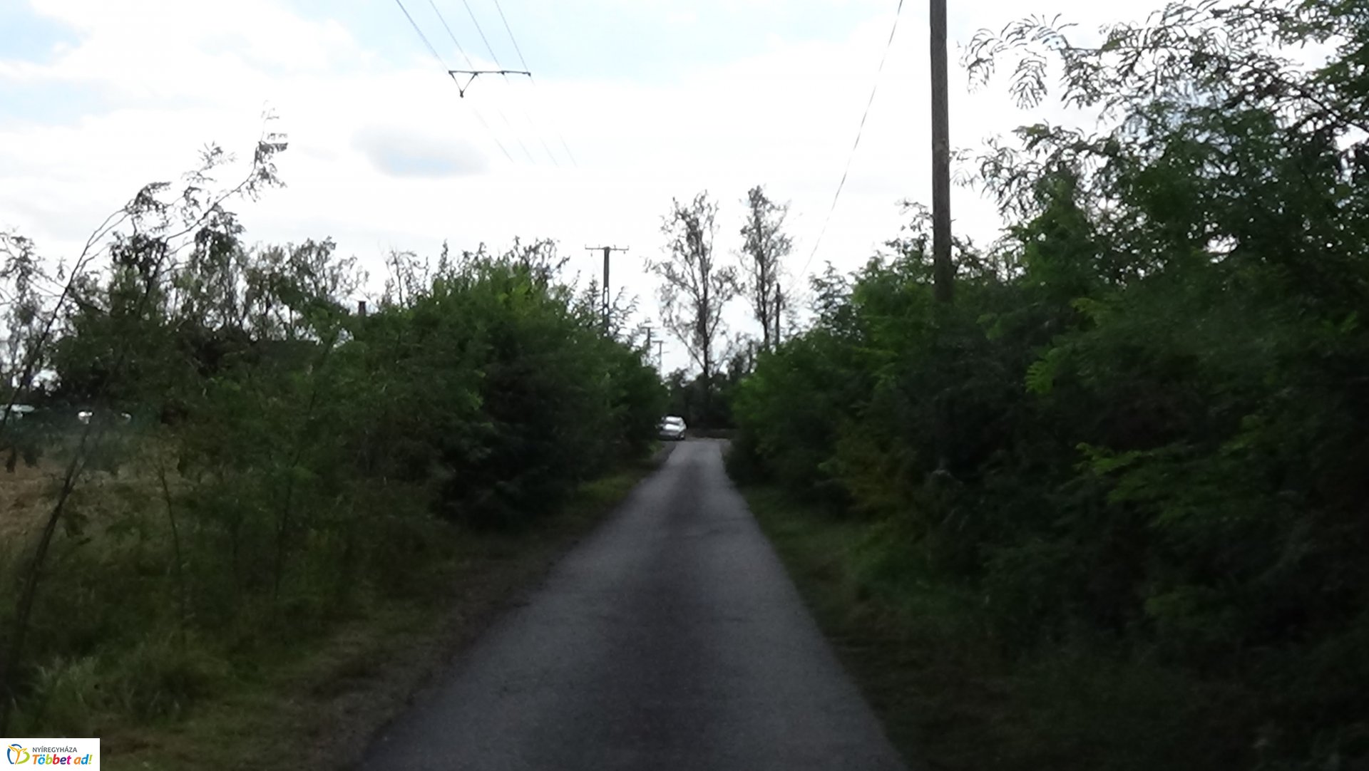 Gallyazási munkálatok a Rozmaring utcán