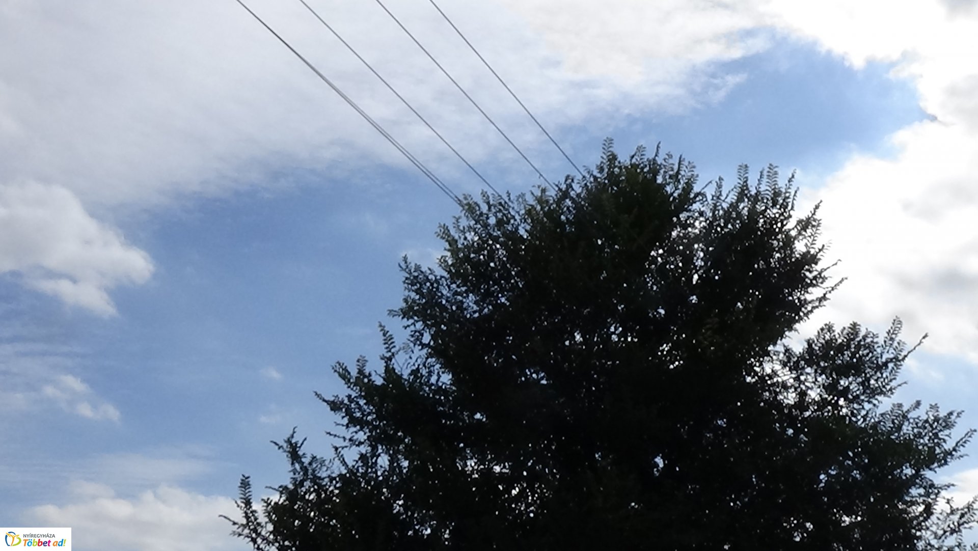 Gallyazási munkálatok a Rozmaring utcán