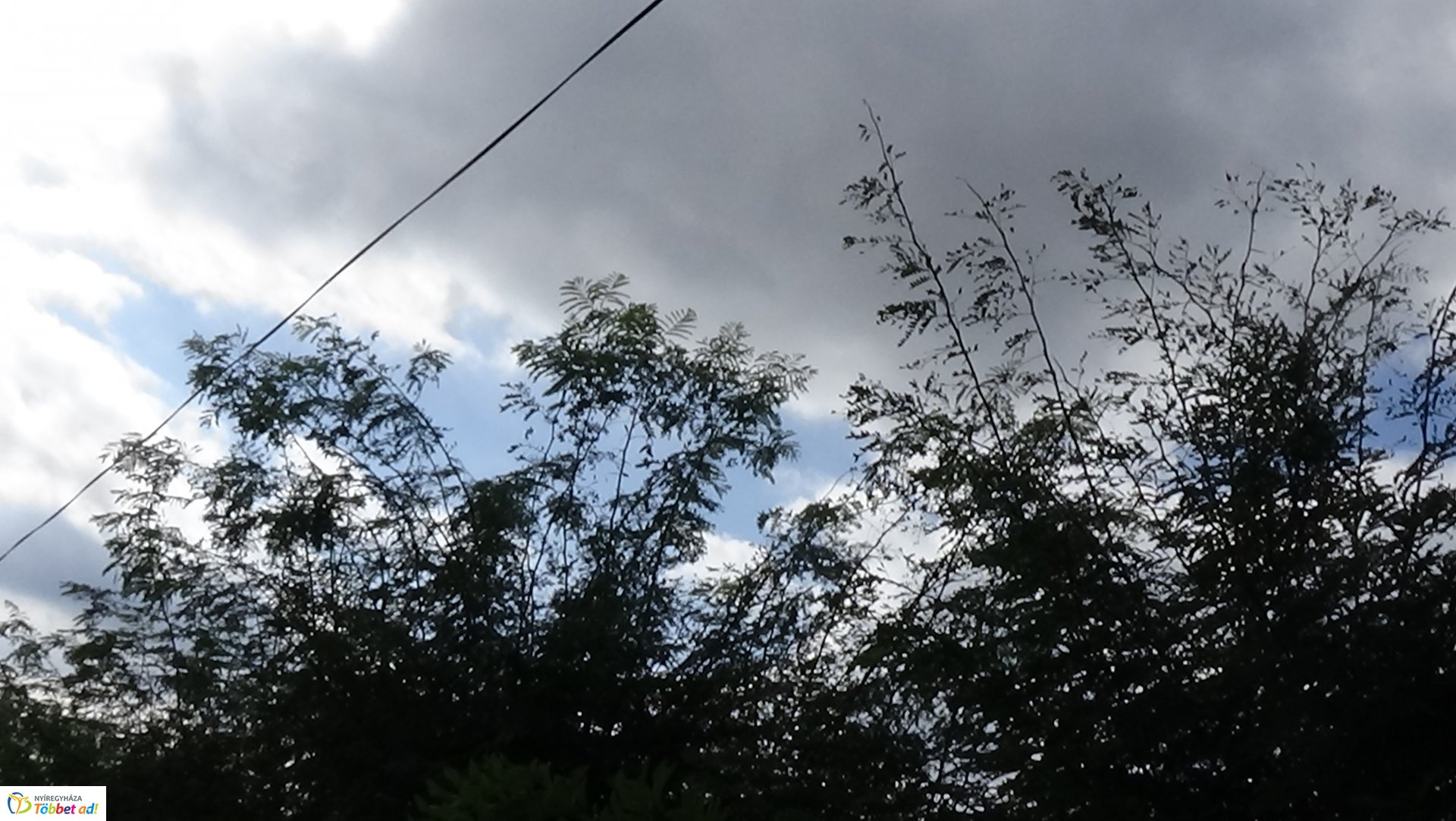 Gallyazási munkálatok a Rozmaring utcán