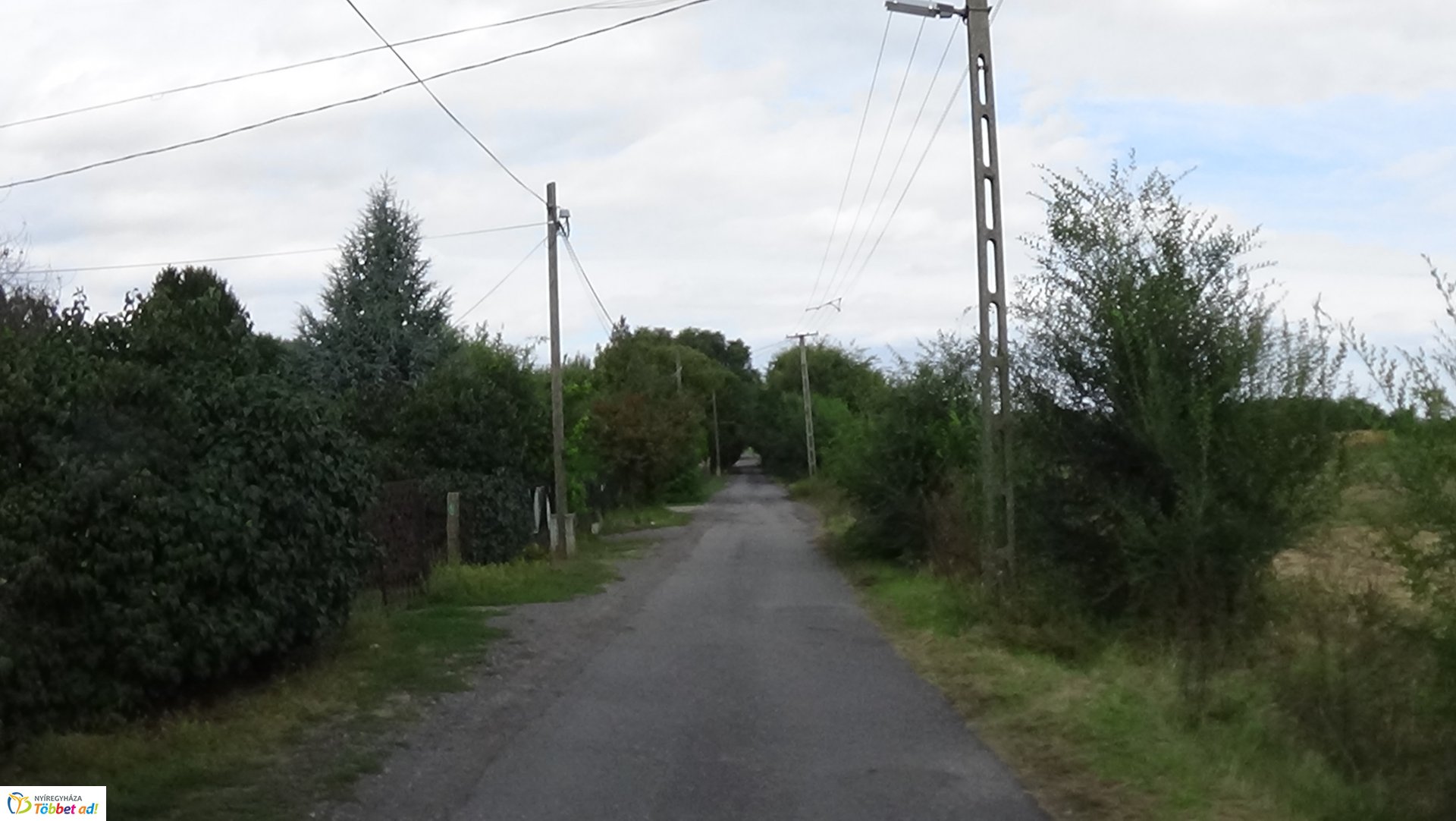 Gallyazási munkálatok a Rozmaring utcán