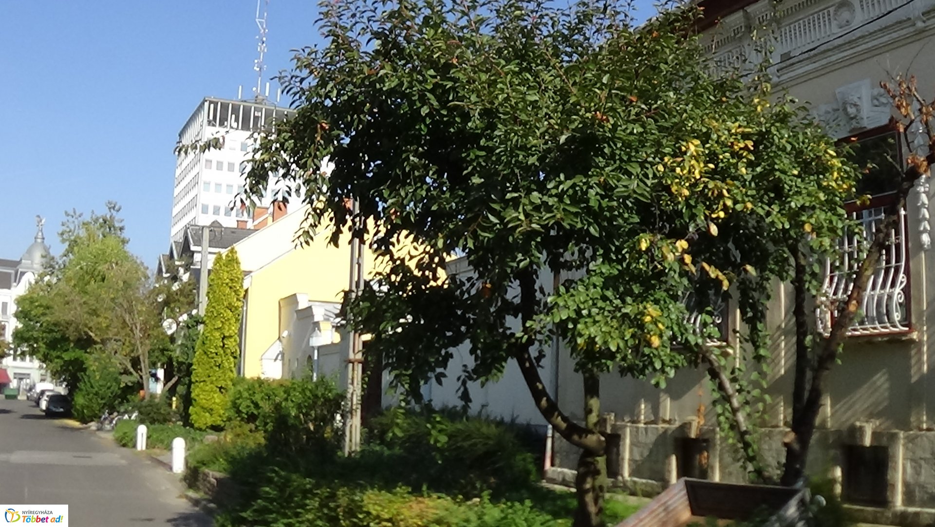 Gallyazási munkálatok csütörtökön az Ér utcán