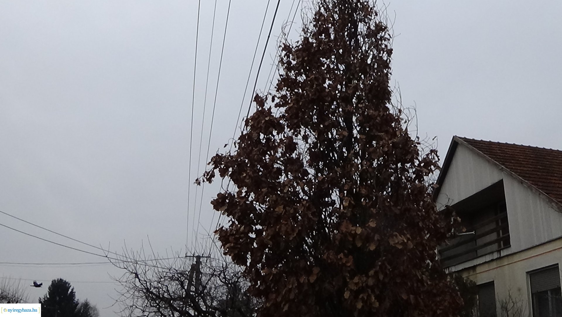 Gallyazási munkálatok