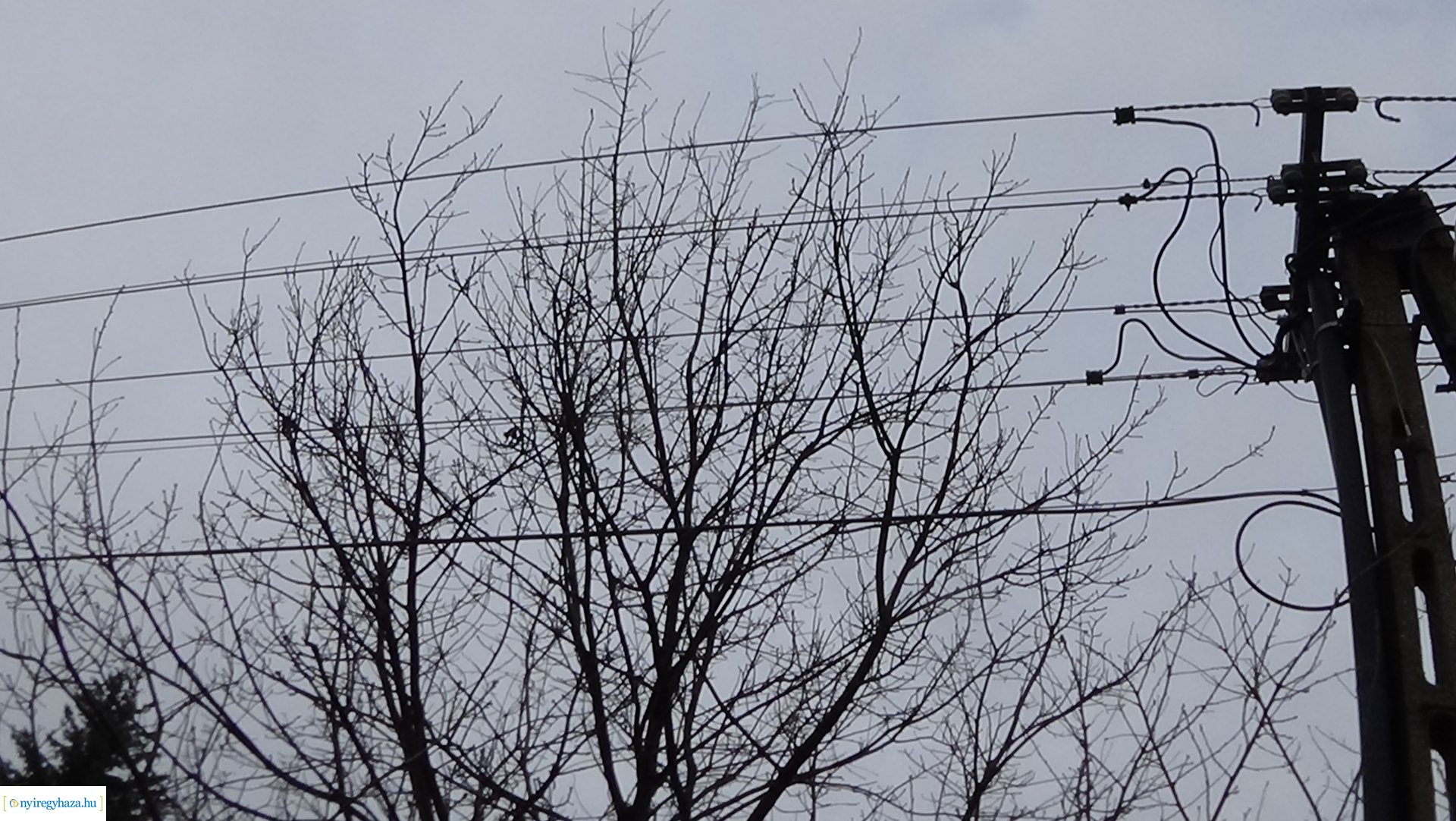 Gallyazási munkálatok