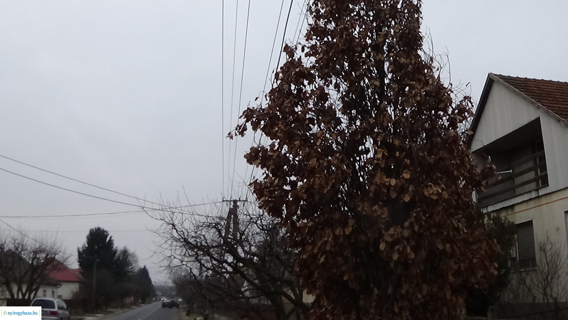 Gallyazási munkálatok