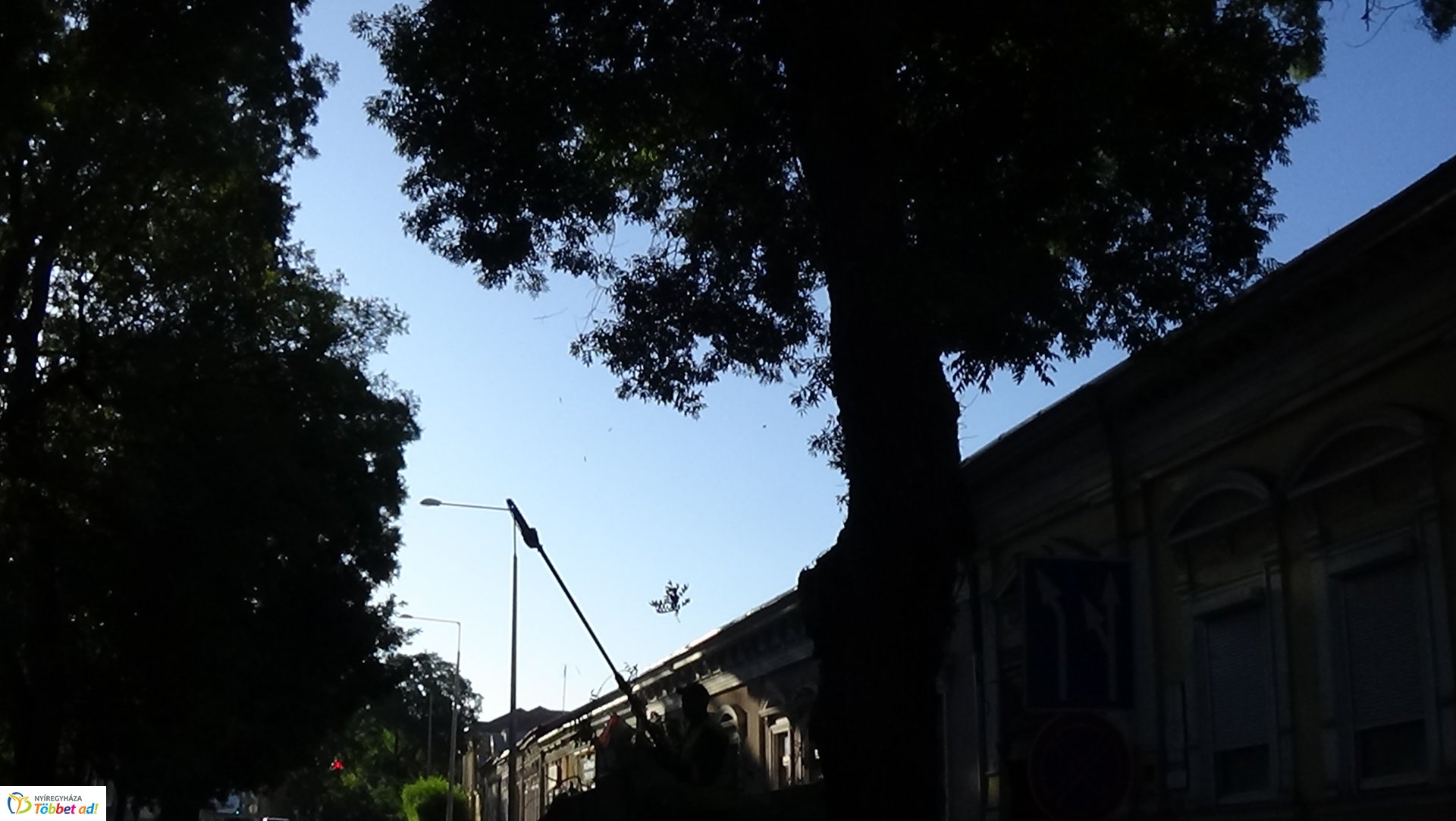 Gallyazási munkálatokat végeznek a Szent István utcán