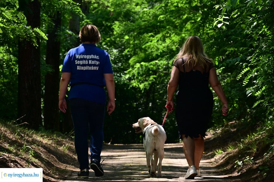 Gyepmesteri nap 2024