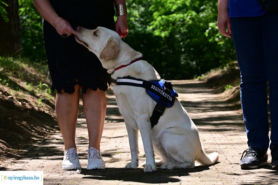 Gyepmesteri nap 2024