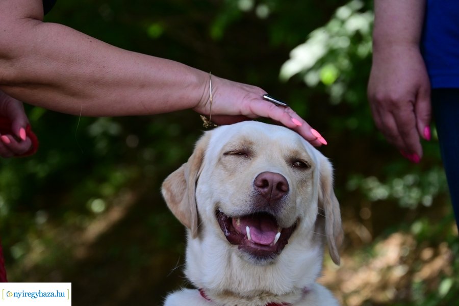 Gyepmesteri nap 2024