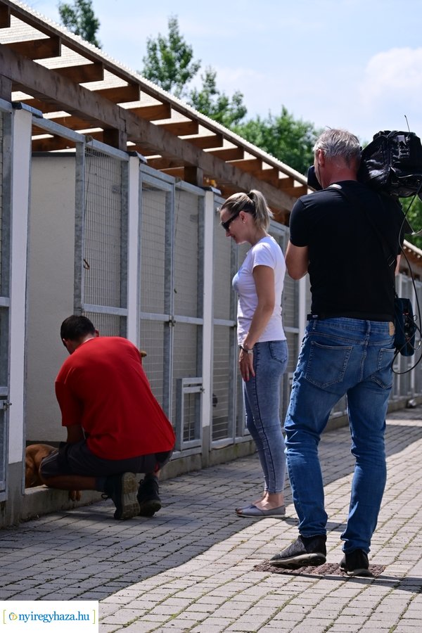 Gyepmesteri nap 2024