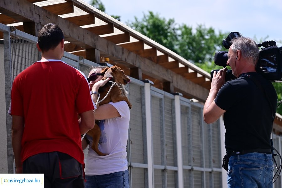 Gyepmesteri nap 2024