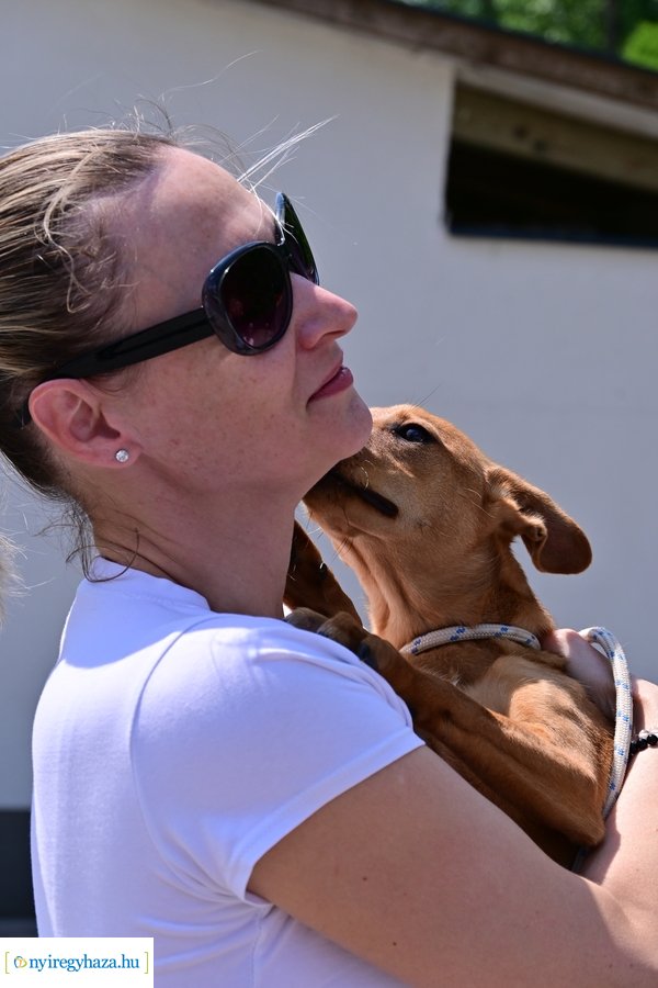 Gyepmesteri nap 2024