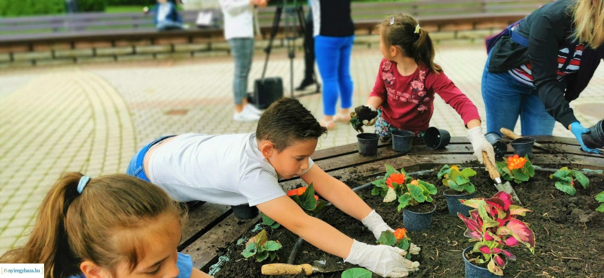 Gyermekekkel közösen a virágos Nyíregyházáért!