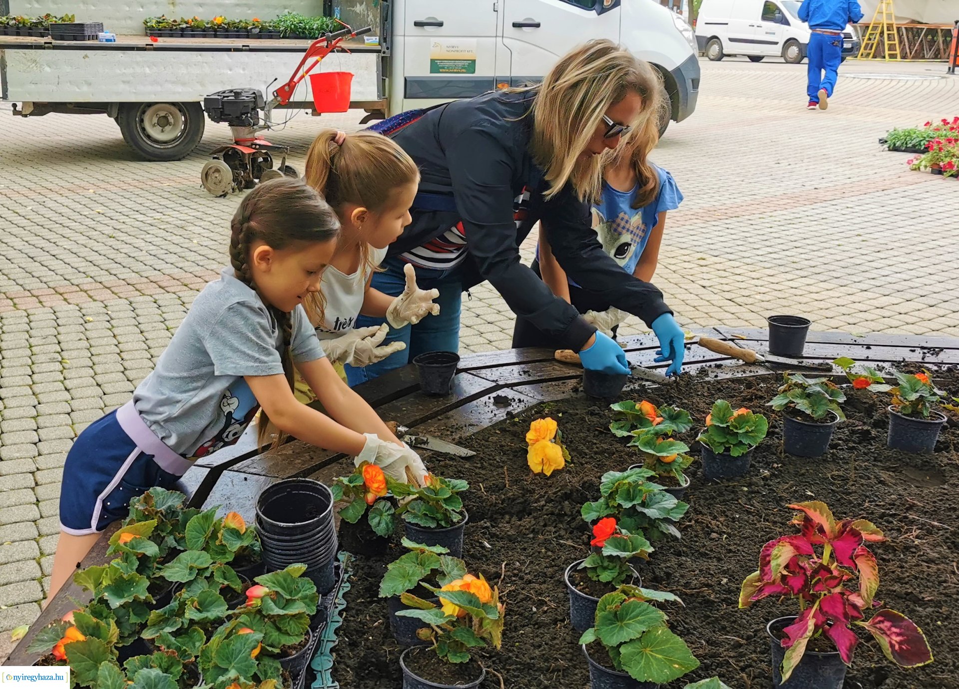 Gyermekekkel közösen a virágos Nyíregyházáért!