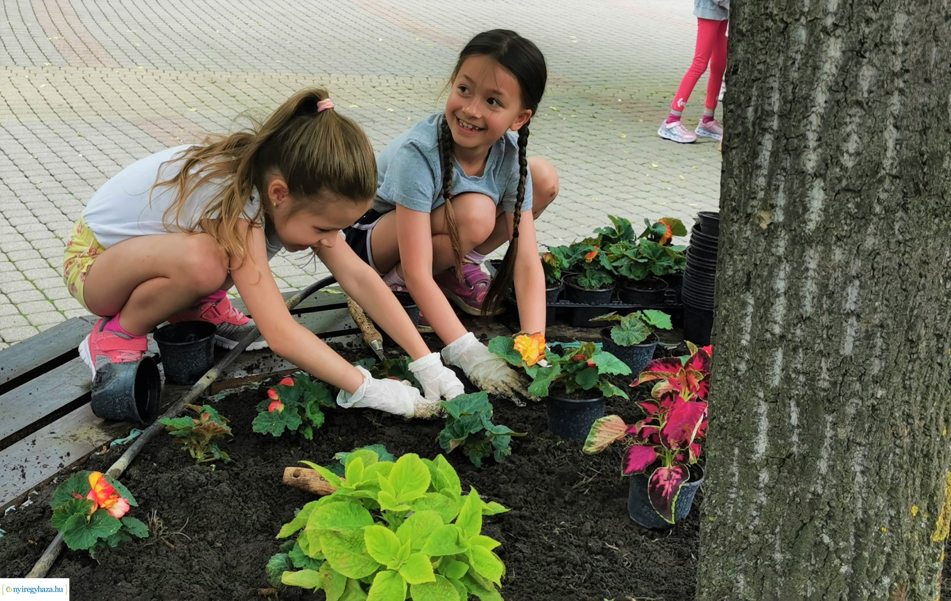 Gyermekekkel közösen a virágos Nyíregyházáért!