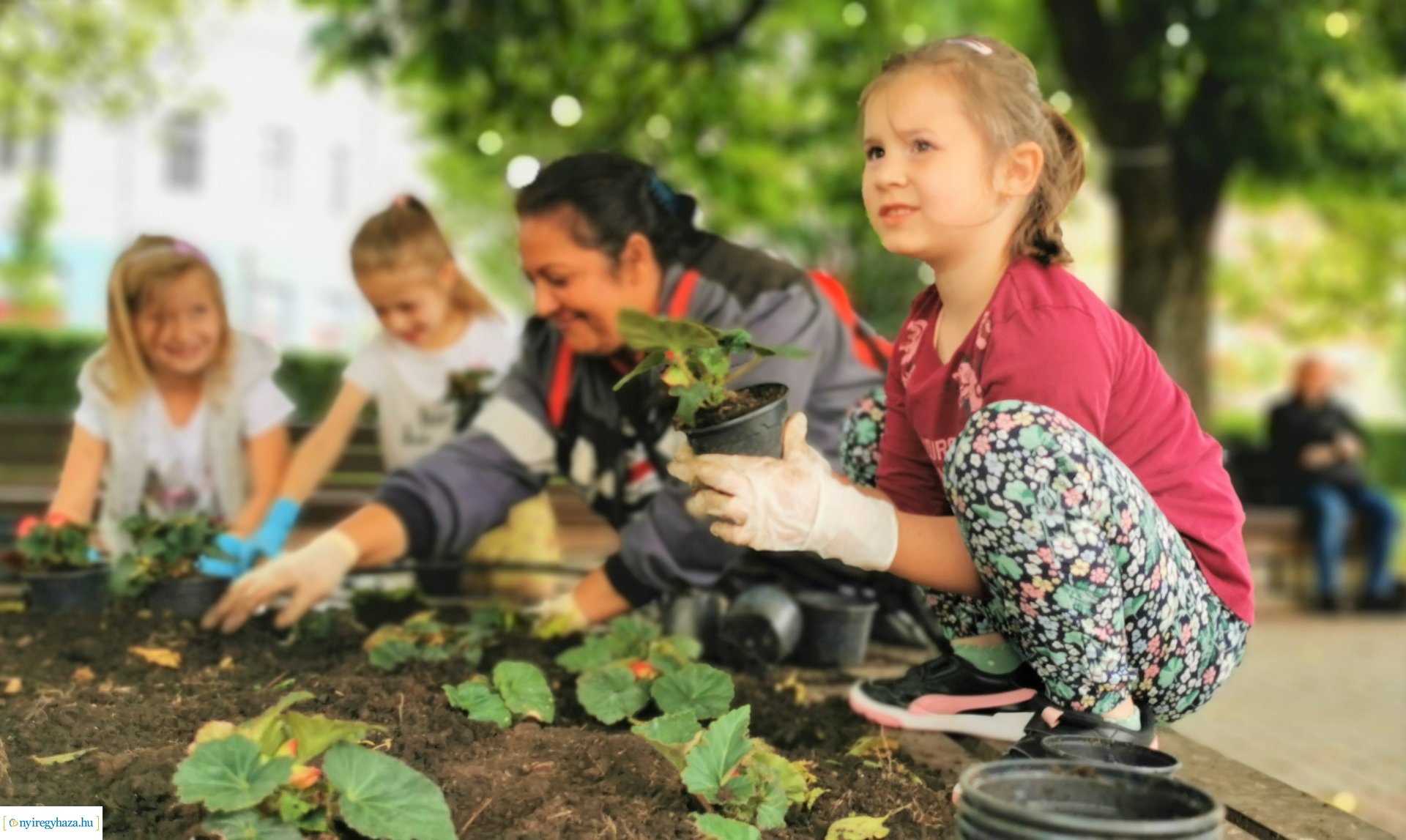 Gyermekekkel közösen a virágos Nyíregyházáért!