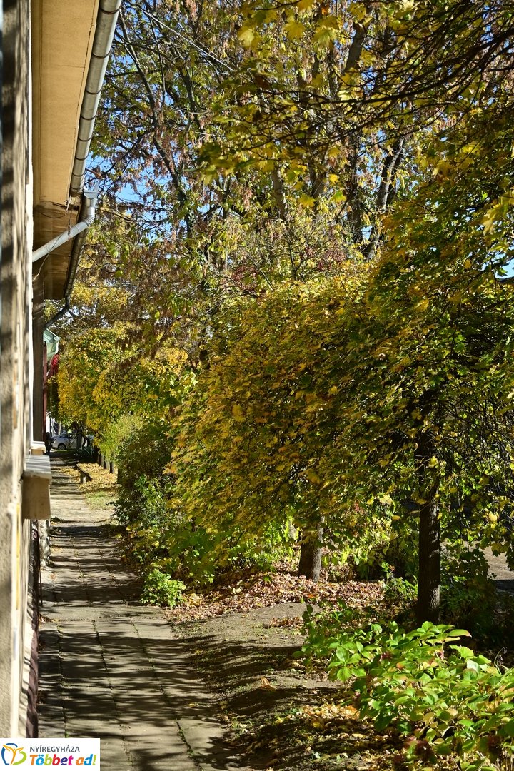 Gyermekfejlesztési tér a Vöröskeresztnél