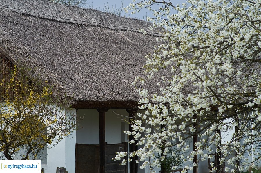 Hagyományos húsvéti tojásfestés a múzeumfaluban 2022