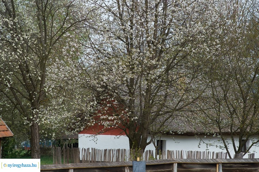 Hagyományos húsvéti tojásfestés a múzeumfaluban 2022