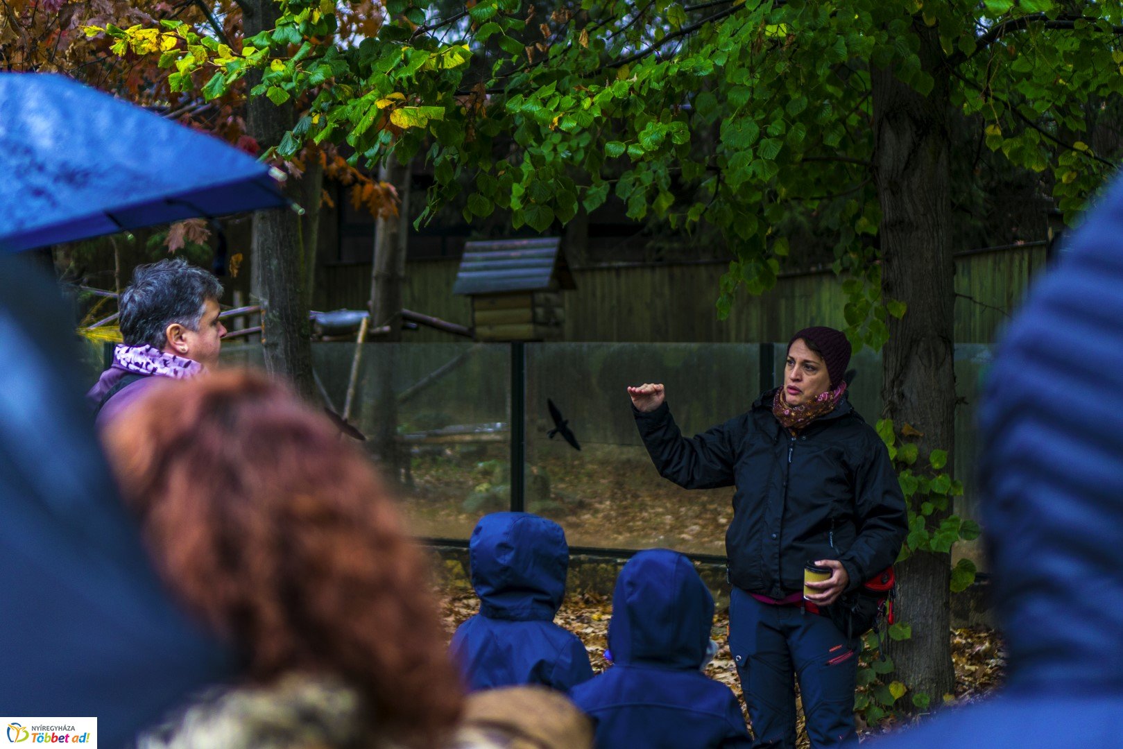 Halloween a Nyíregyházi Állatparkban 2.