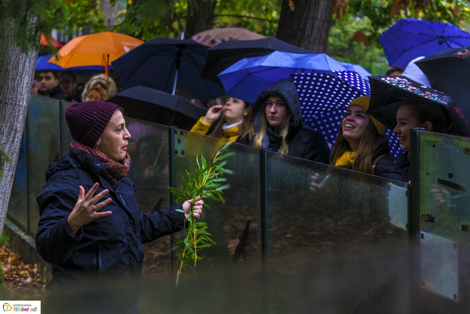 Halloween a Nyíregyházi Állatparkban 2.