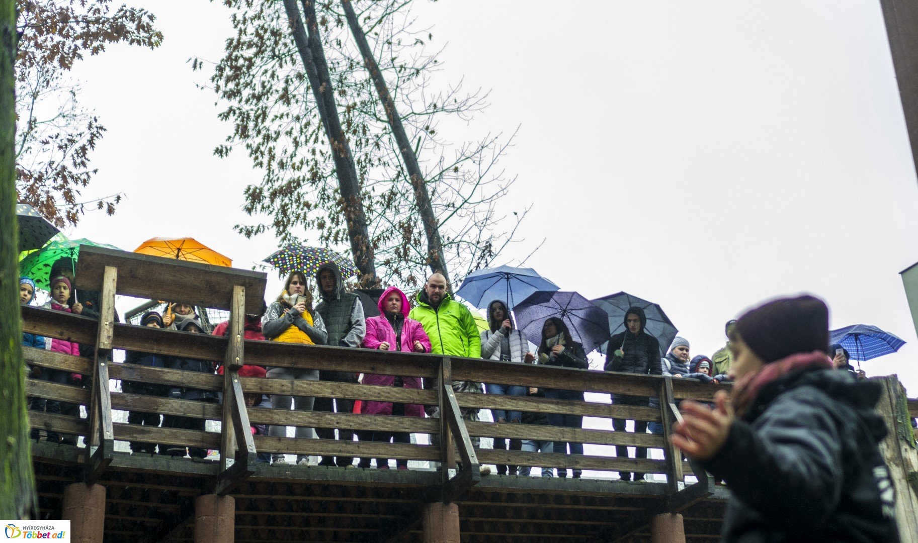 Halloween a Nyíregyházi Állatparkban 2.