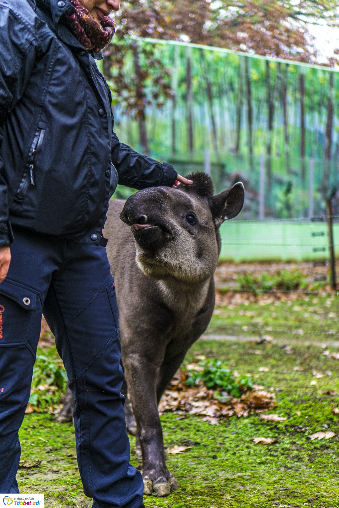 Halloween a Nyíregyházi Állatparkban 2.