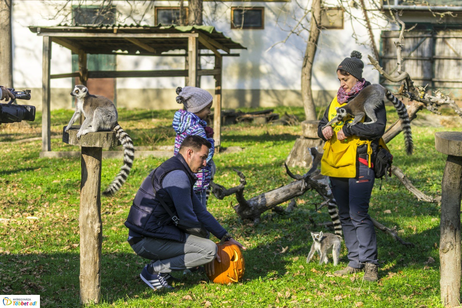 Halloween a Nyíregyházi Állatparkban